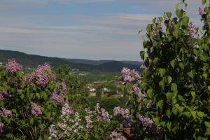 Utsikt over Lommedalen og Krydsbybakken       